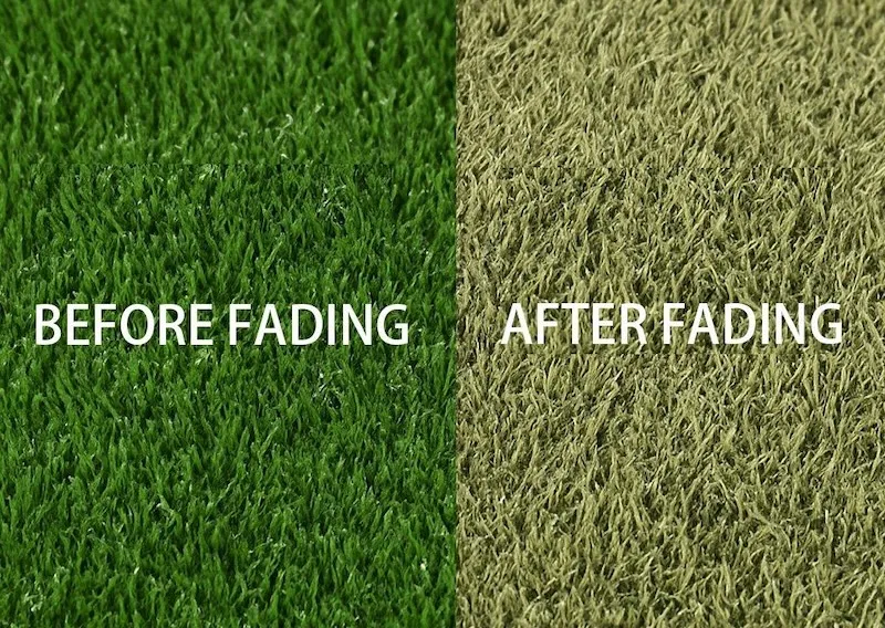 turf fading caused by prolonged UV exposure