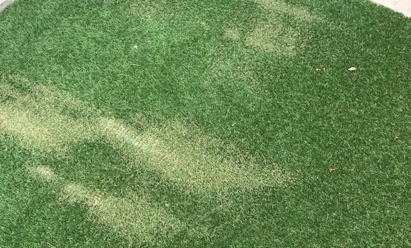worn artificial lawn