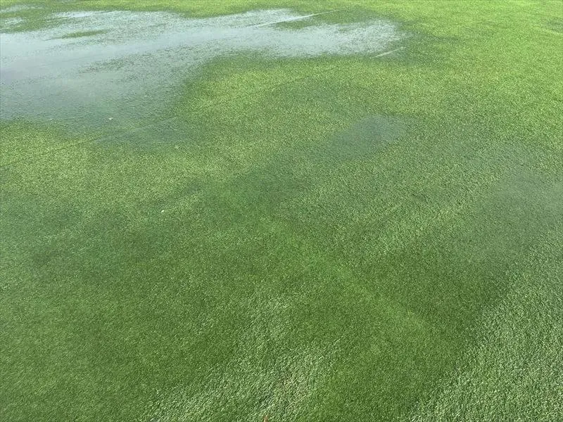 Common Turf Installation Mistakes