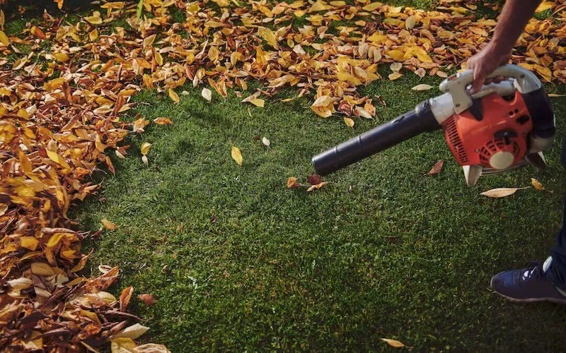 Remove Leaves and Debris