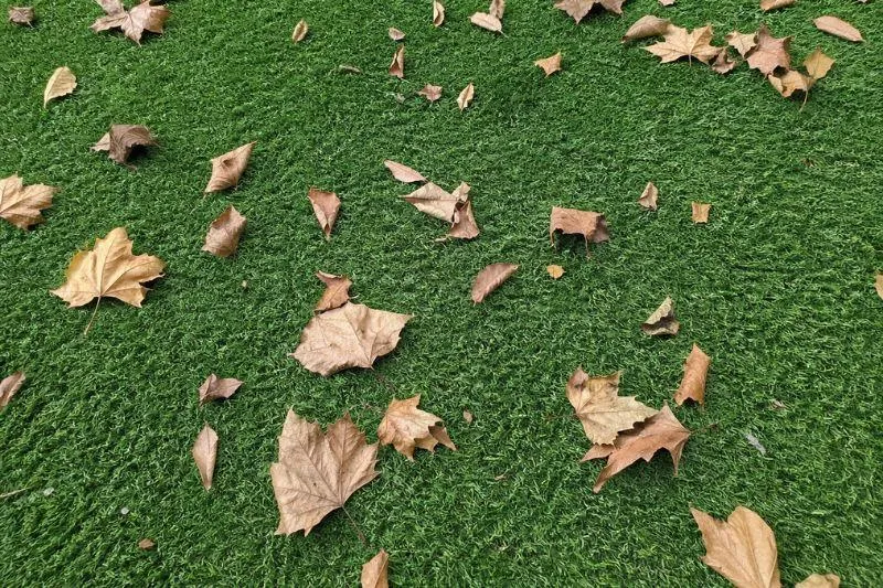 Debris Accumulation