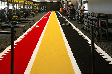 Gym Turf