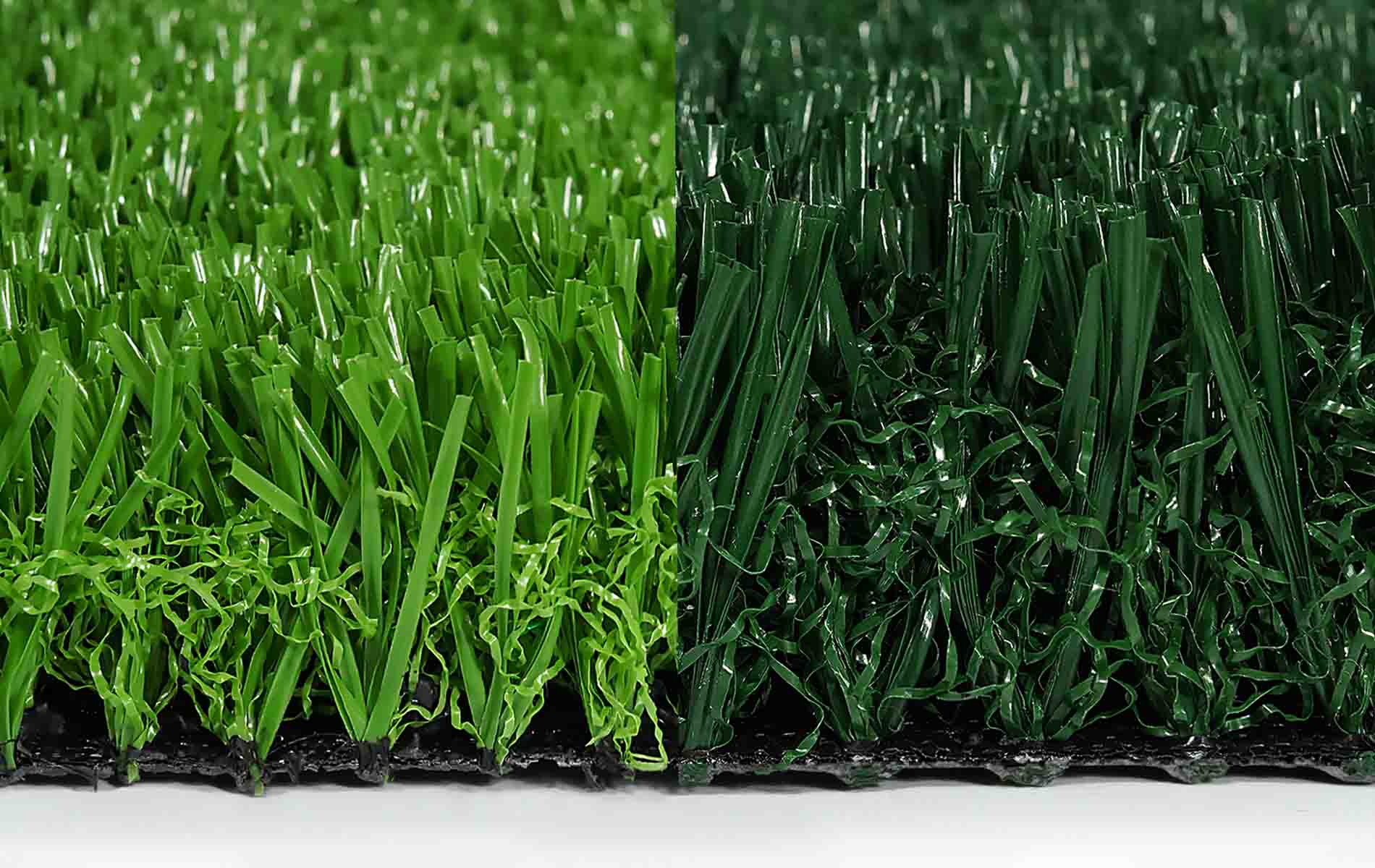 GLNF-40 models.imageAltSuffix