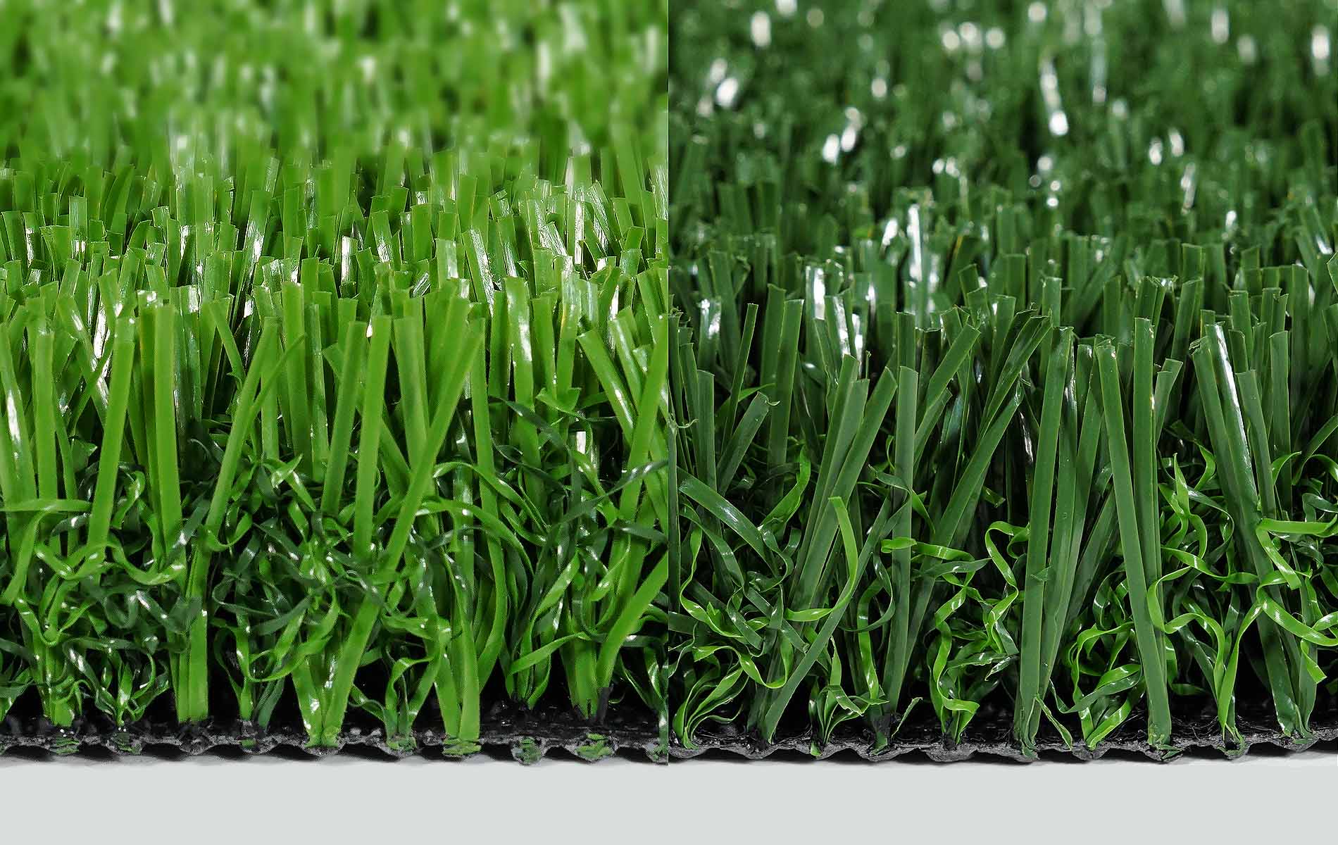 GLNF-50 models.imageAltSuffix