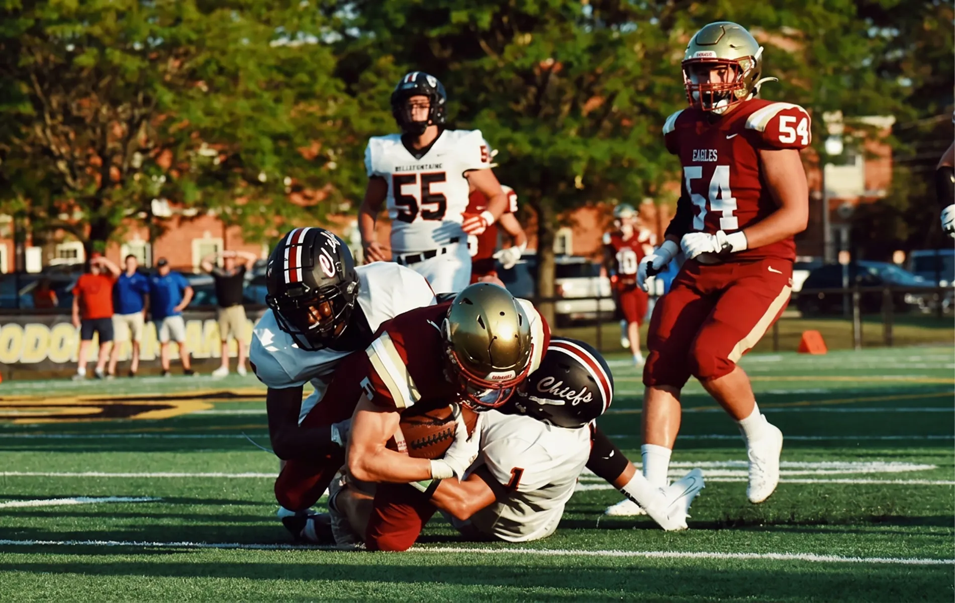 Training and Recreational Fields