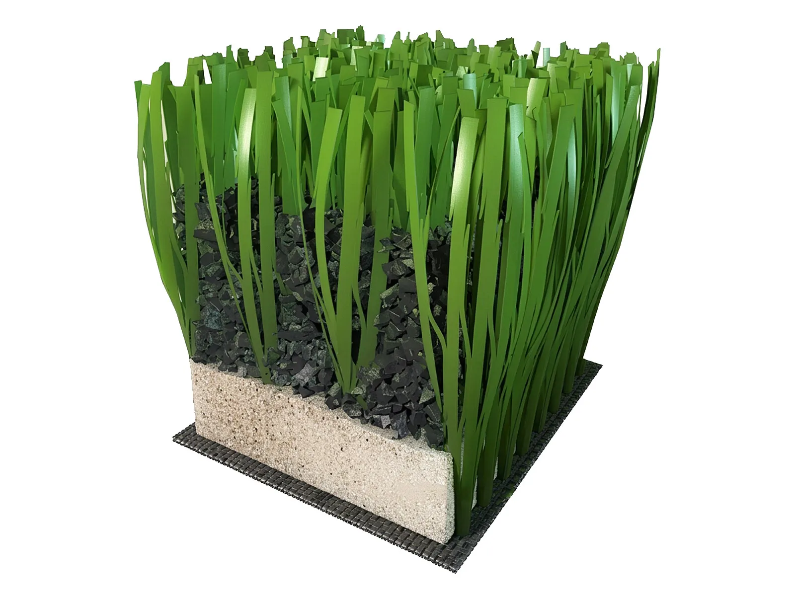 about.traditionalStructure.imageAlt